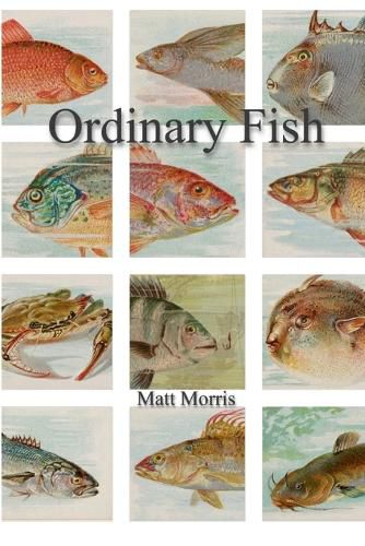 Cover image for Ordinary Fish/Watt Worris