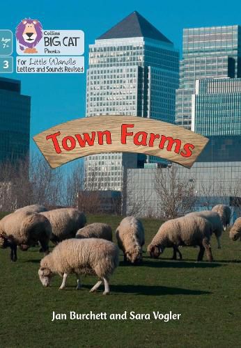 Town Farms: Phase 3 Set 1