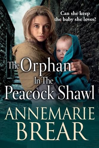 Cover image for The Orphan in the Peacock Shawl