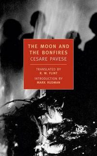 Cover image for The Moon and the Bonfires