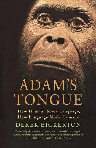 Cover image for Adam's Tongue: How Humans Made Language, How Language Made Humans