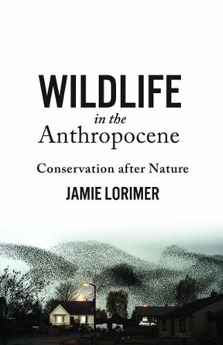 Cover image for Wildlife in the Anthropocene: Conservation after Nature