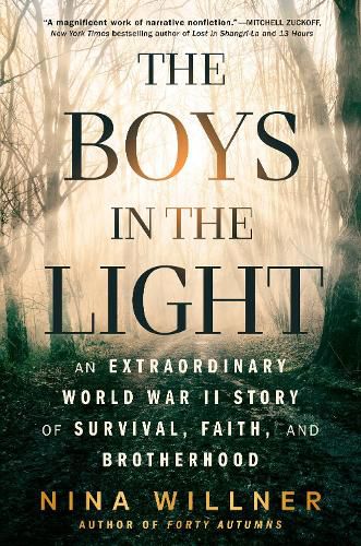 Cover image for The Boys in the Light