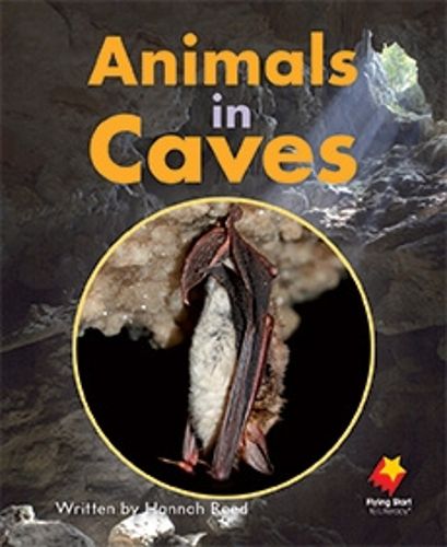 Cover image for Animals in Caves