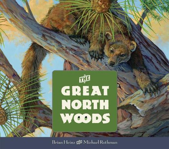 Cover image for The Great North Woods