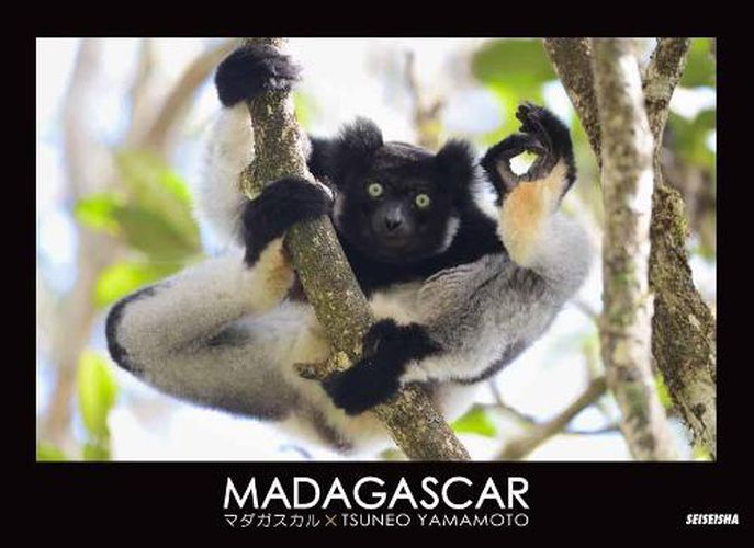 Cover image for Madagascar