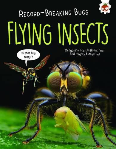 Cover image for Flying Insects