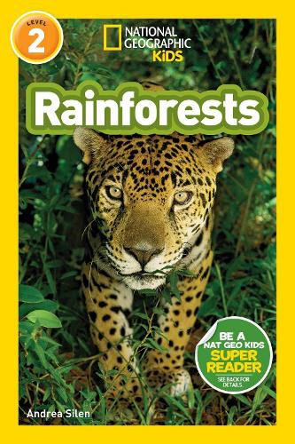 Cover image for Rainforests