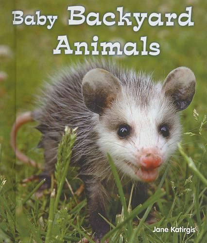 Cover image for Baby Backyard Animals