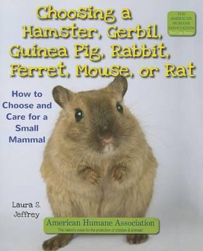 Choosing a Hamster, Gerbil, Guinea Pig, Rabbit, Ferret, Mouse, or Rat: How to Choose and Care for a Small Mammal