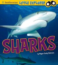 Cover image for Sharks (Little Scientist)