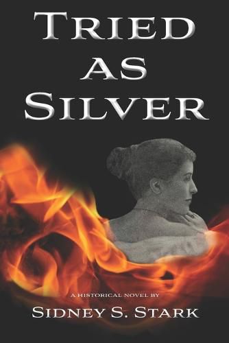 Cover image for Tried as Silver