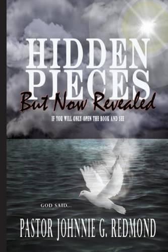 Cover image for Hidden Pieces But Now Revealed