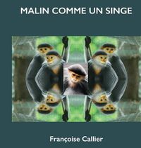 Cover image for Malin Comme Un Singe