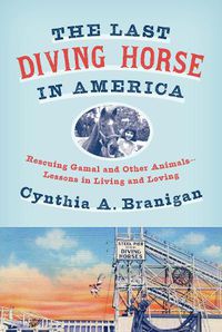 Cover image for The Last Diving Horse in America: Rescuing Gamal and Other Animals--Lessons in Living and Loving