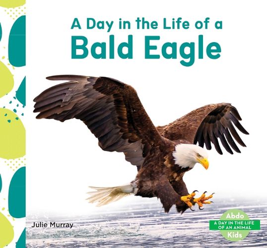 Cover image for Day in the Life of a Bald Eagle