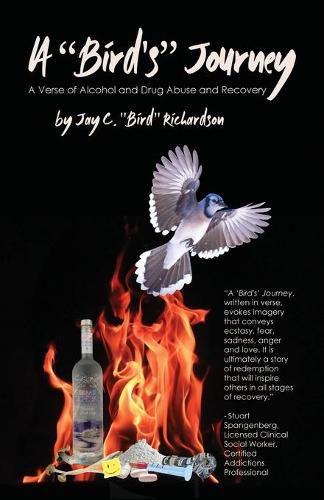 Cover image for A Bird's Journey