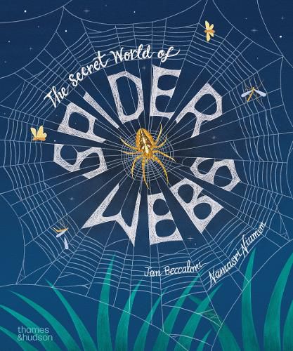 Cover image for The Secret World of Spider Webs