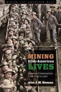 Cover image for Mining Irish-American Lives