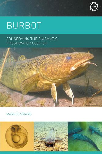 Cover image for Burbot: Conserving the Enigmatic Freshwater Codfish