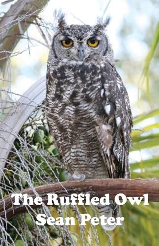 Cover image for The Ruffled Owl