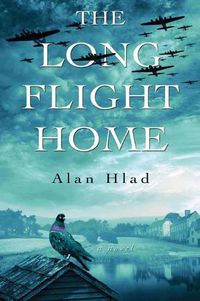 Cover image for The Long Flight Home