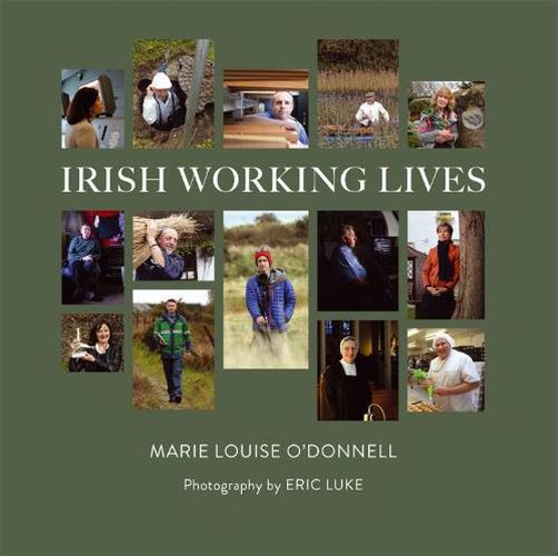 Irish Working Lives