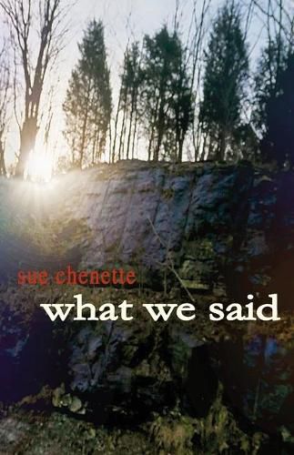 Cover image for What We Said