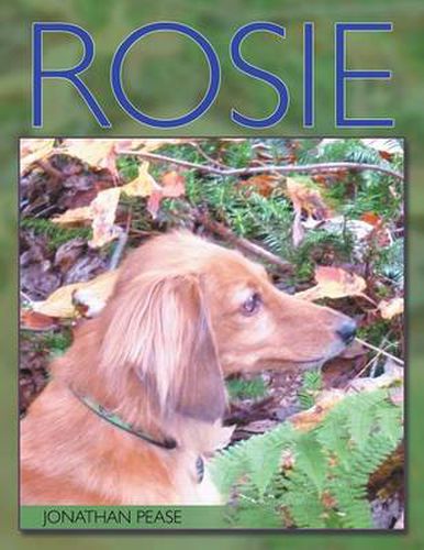 Cover image for Rosie