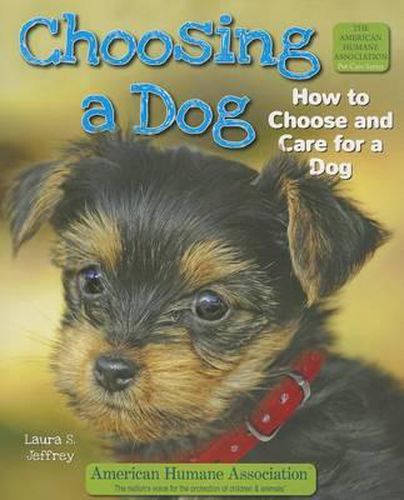 Choosing a Dog: How to Choose and Care for a Dog