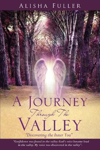 Cover image for A Journey Through The Valley