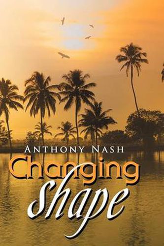 Cover image for Changing Shape