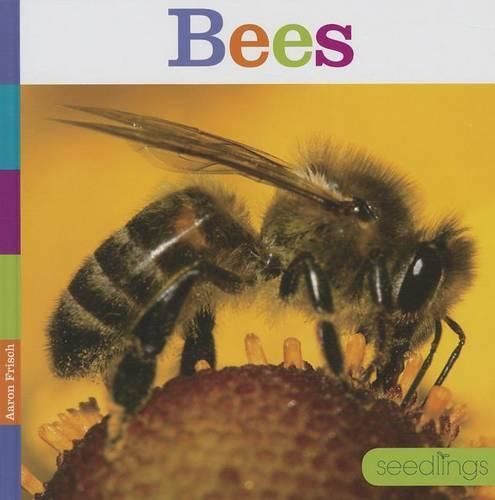 Cover image for Bees