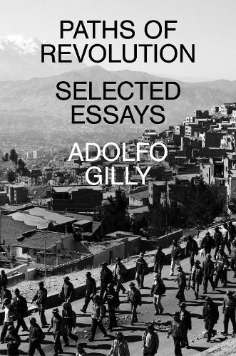 Cover image for Paths of Revolution: Selected Essays