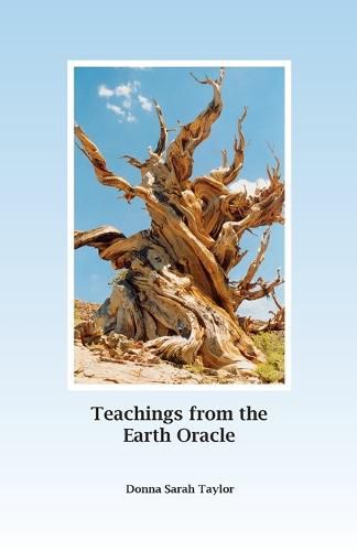 Teachings from the Earth Oracle