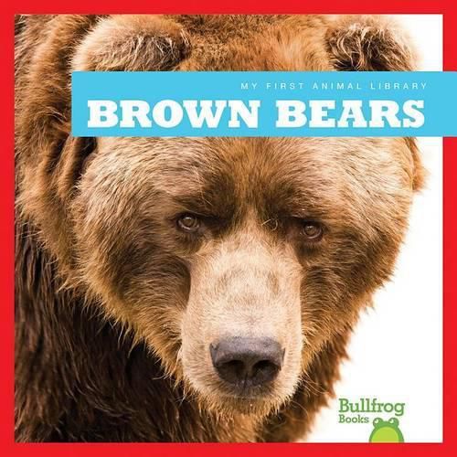 Cover image for Brown Bears