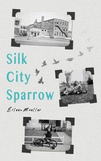 Cover image for Silk City Sparrow