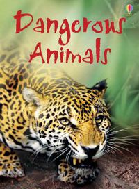 Cover image for Dangerous Animals