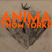 Cover image for Anima (Limited Edition Orange Vinyl)