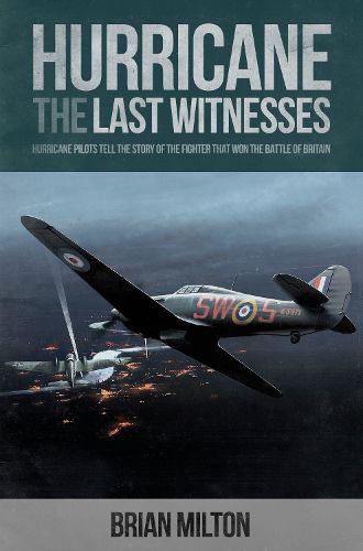 Cover image for Last Witnesses: Hurricane