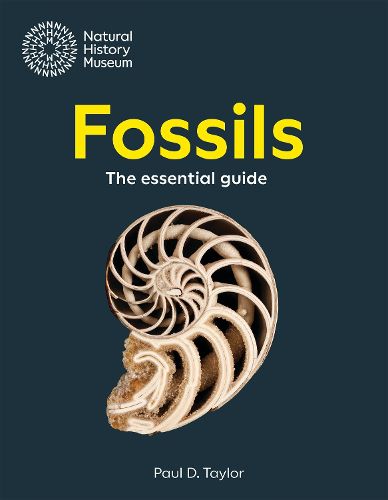 Cover image for Fossils