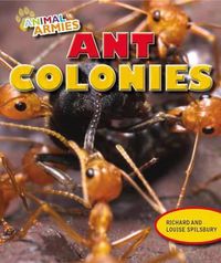 Cover image for Ant Colonies