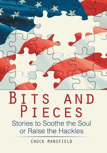 Cover image for Bits and Pieces: Stories to Soothe the Soul or Raise the Hackles