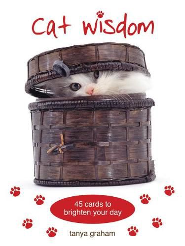 Cover image for Cat Wisdom Cards