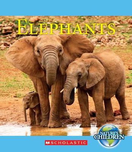 Cover image for Elephants