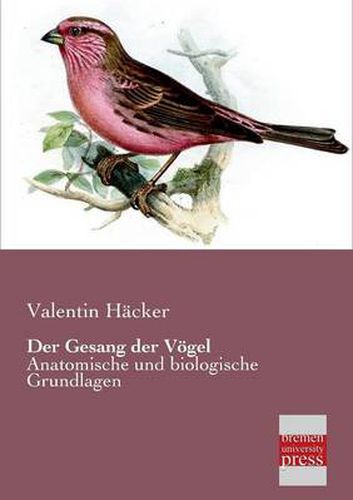 Cover image for Der Gesang Der Vogel