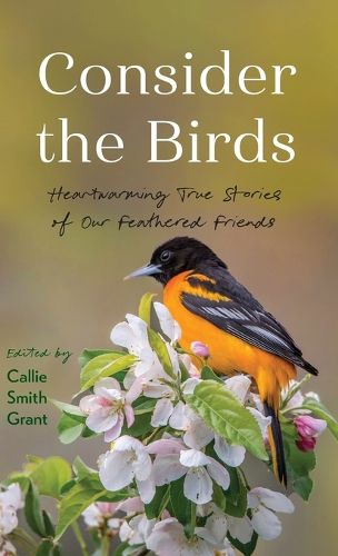 Cover image for Consider the Birds