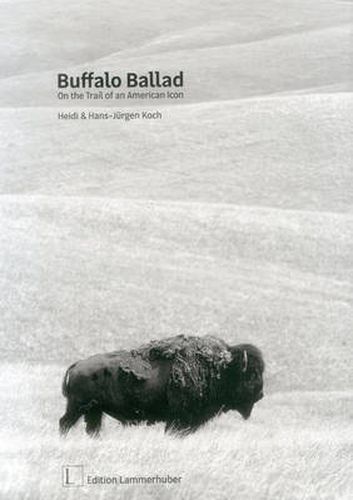 Cover image for Buffalo Ballad: On the Trail of an American Icon