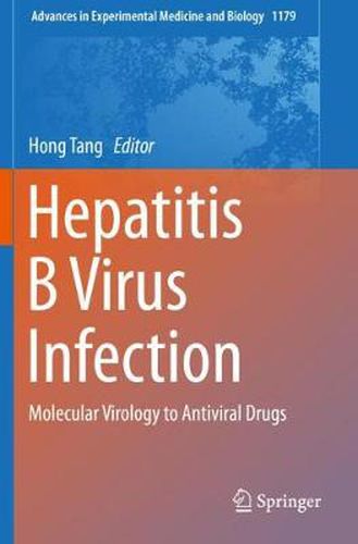 Cover image for Hepatitis B Virus Infection: Molecular Virology to Antiviral Drugs