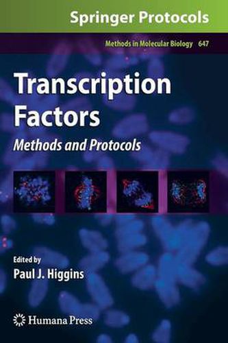 Cover image for Transcription Factors: Methods and Protocols